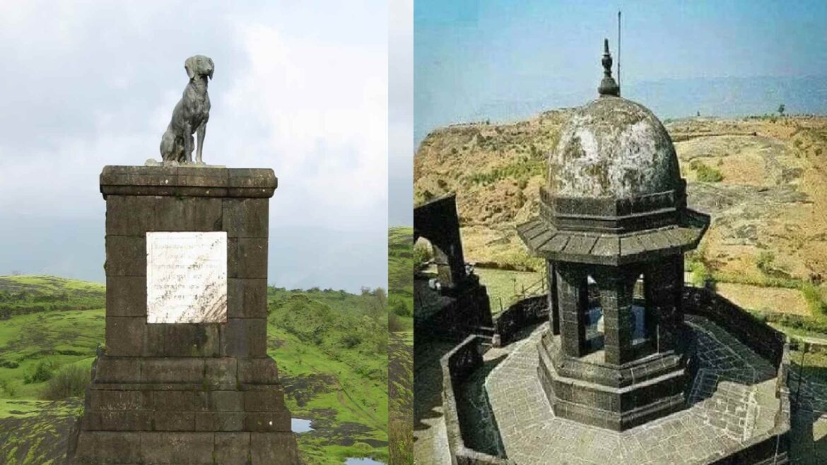 रायगडावरील वाघ्या कुत्र्याची समाधी हट